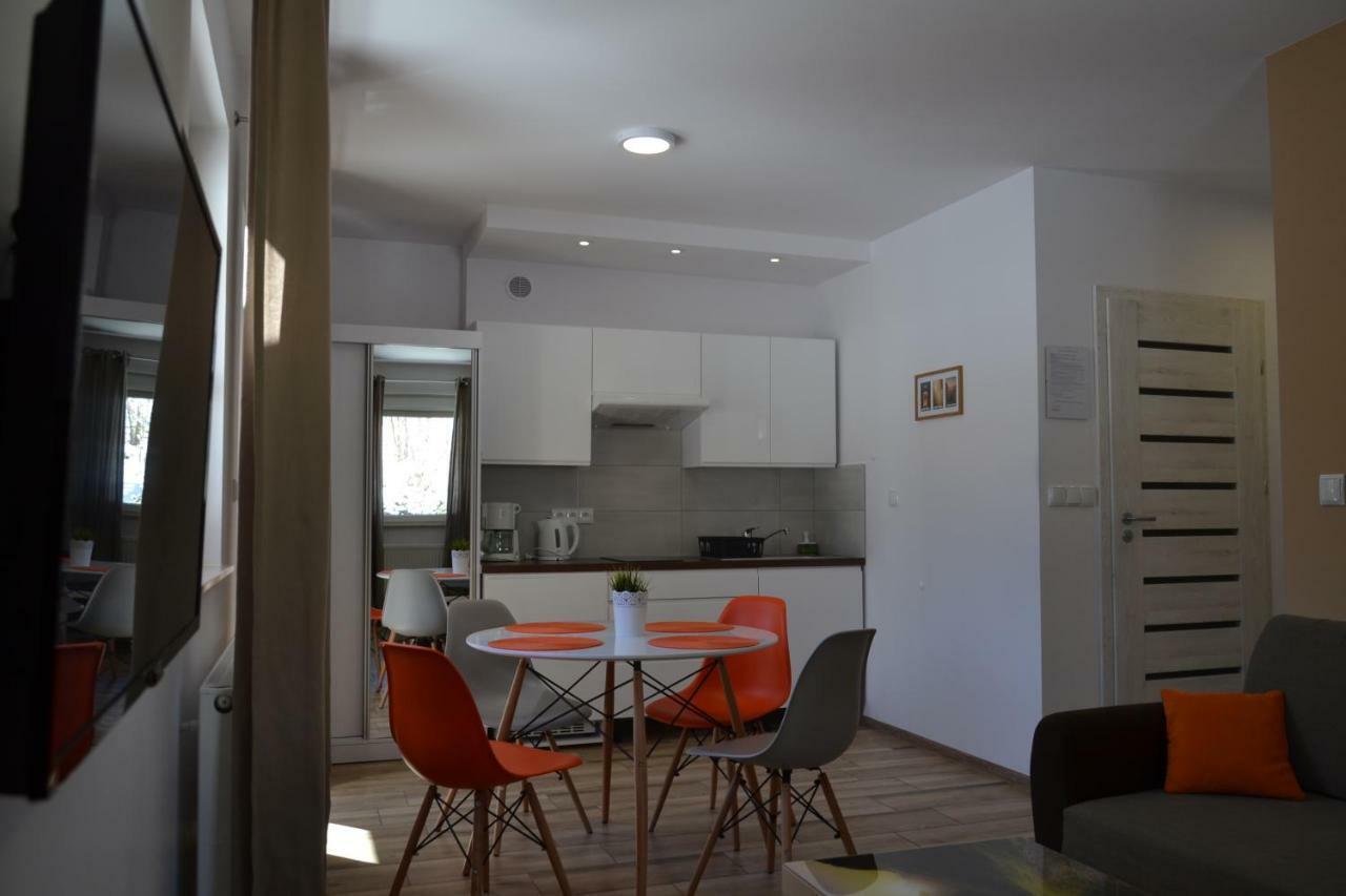 Apartamenty Pod Rudka Czarna Gora Agroturystyka Sienna  Eksteriør bilde